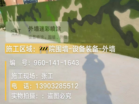 重庆 迷彩漆喷涂价格（按平方米计费）