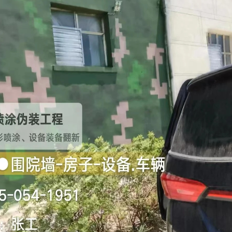 重庆数码迷彩漆施工